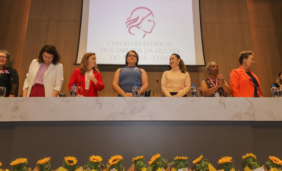 Em solenidade de posse, nova gestão do Conselho dos Direitos da Mulher é diplomada