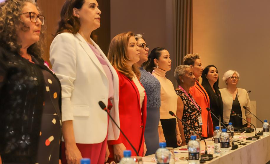 Em solenidade de posse, nova gestão do Conselho dos Direitos da Mulher é diplomada