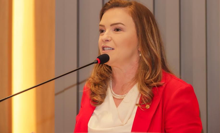 Em solenidade de posse, nova gestão do Conselho dos Direitos da Mulher é diplomada