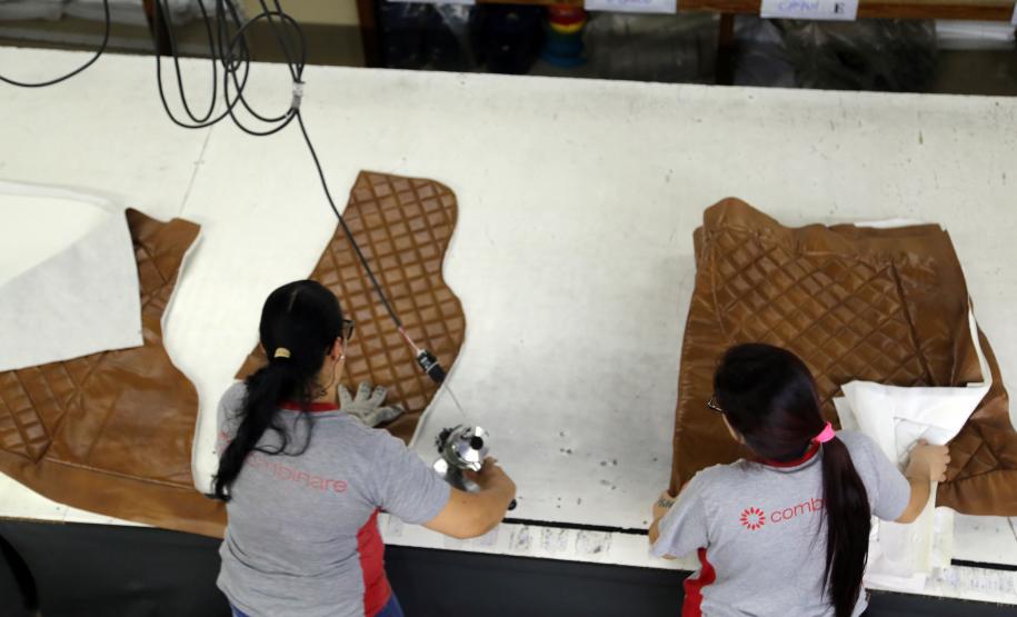 Com 51,3 mil novos empregos, Paraná lidera geração de trabalho para mulheres no Sul