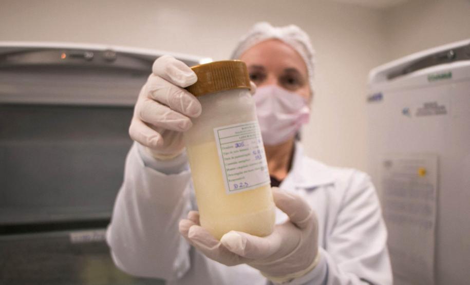 Rede de aleitamento materno e hospitais certificados ajudam milhares de bebês todos os anos