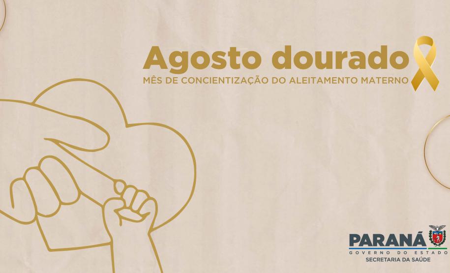 Rede de aleitamento materno e hospitais certificados ajudam milhares de bebês todos os anos