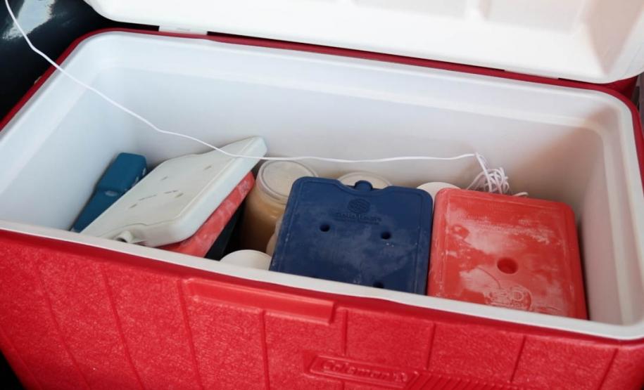 Atendimento do Banco de Leite do HUOP cresce 66%