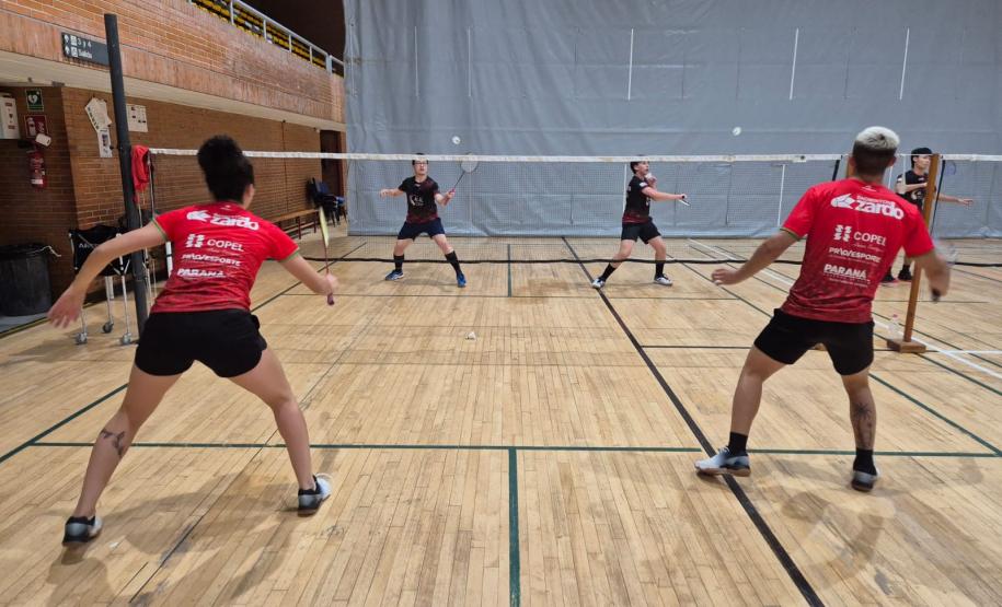 proesporte badminton