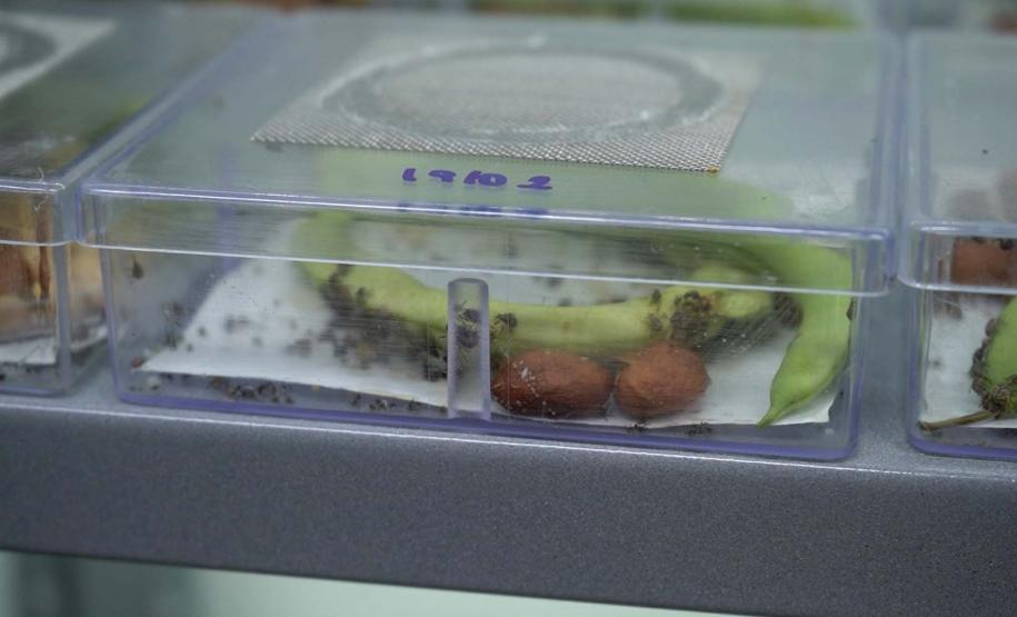 Mulheres são maioria com curso superior no Paraná e representam 58% dos graduados