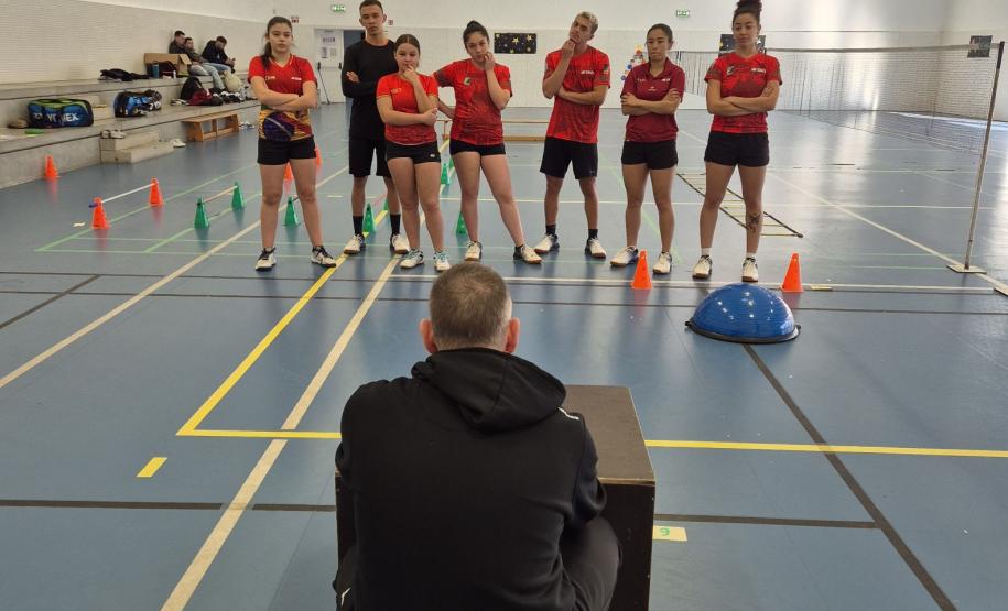 proesporte badminton