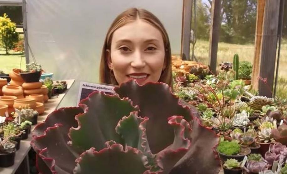 IDR-Paraná tem ações voltadas ao fortalecimento das mulheres no meio rural