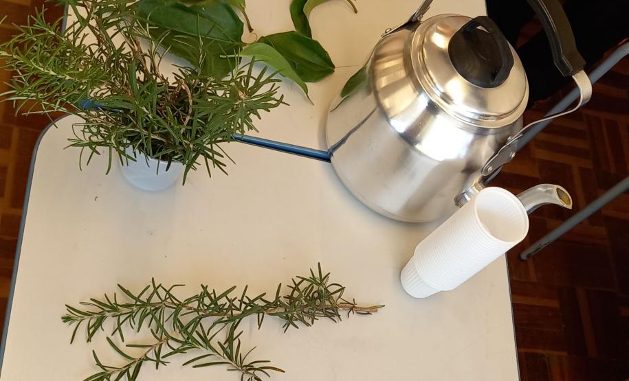 Equidade racial: 23 escolas recebem o Selo ERER Enedina Alves Marques do Governo