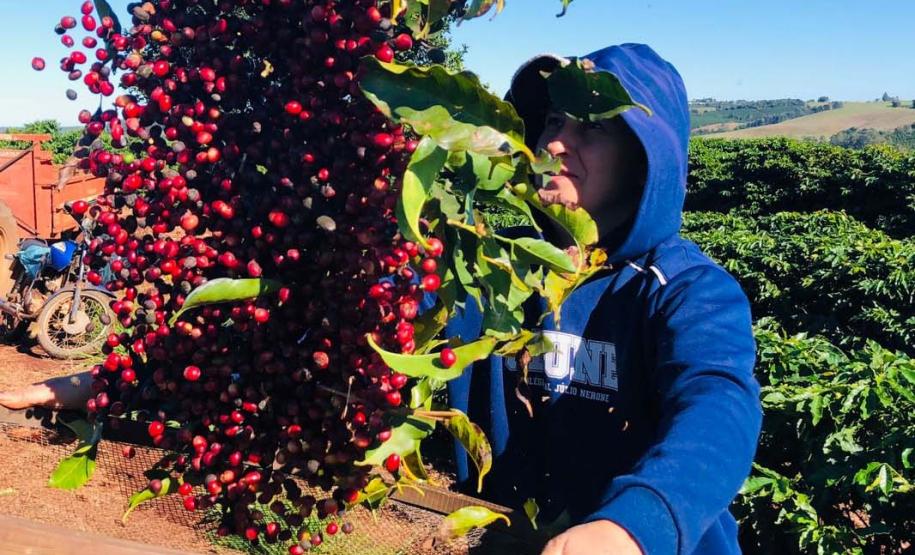 IDR-Paraná tem ações voltadas ao fortalecimento das mulheres no meio rural