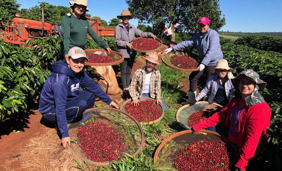 IDR-Paraná tem ações voltadas ao fortalecimento das mulheres no meio rural