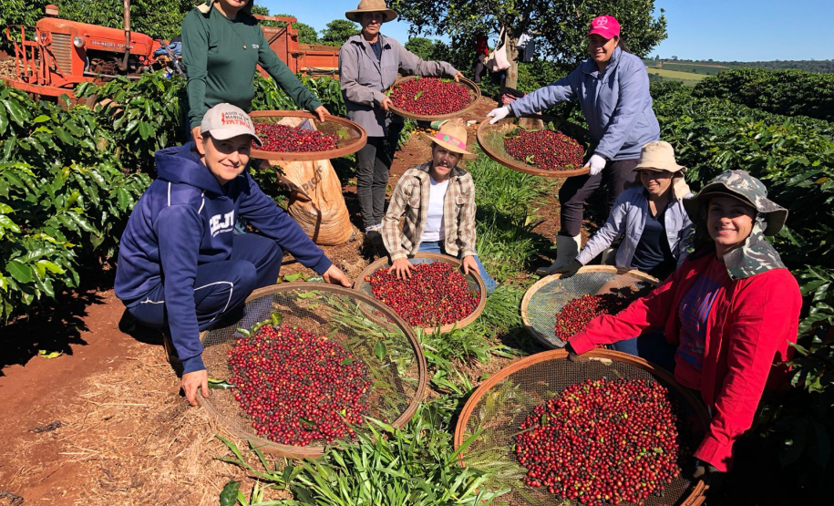 IDR-Paraná tem ações voltadas ao fortalecimento das mulheres no meio rural
