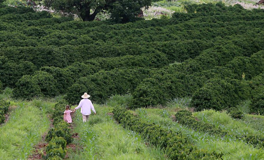 IDR-Paraná tem ações voltadas ao fortalecimento das mulheres no meio rural