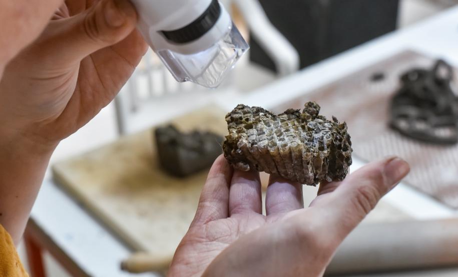 Natureza invisível: conheça Milena Celli, a nova residente da Academia Alfredo Andersen