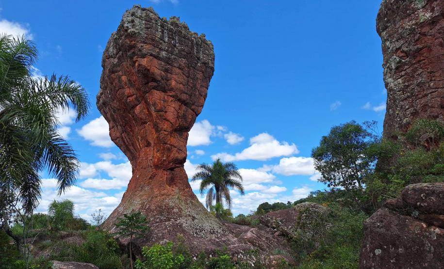 Viajantes + Seguras: Mulheres relatam importância da iniciativa do Estado em seus roteiros