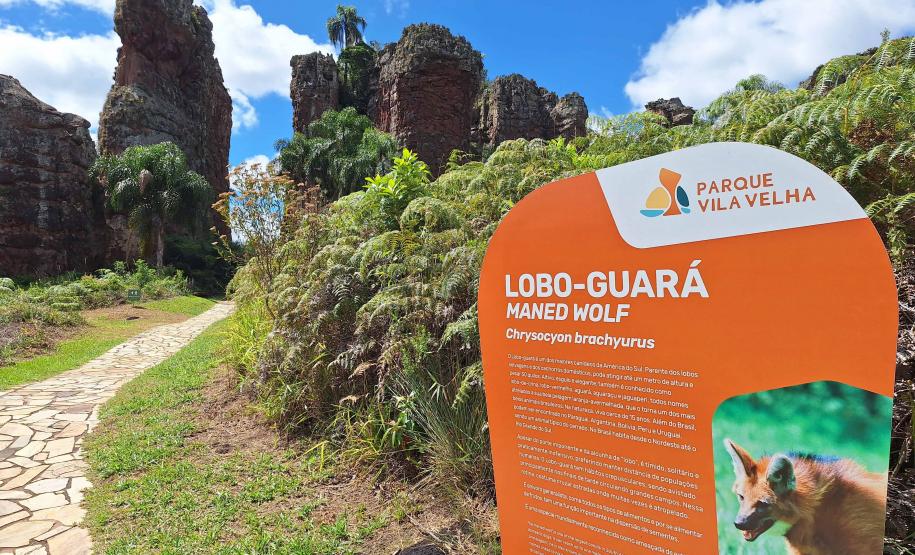 Viajantes + Seguras: Mulheres relatam importância da iniciativa do Estado em seus roteiros