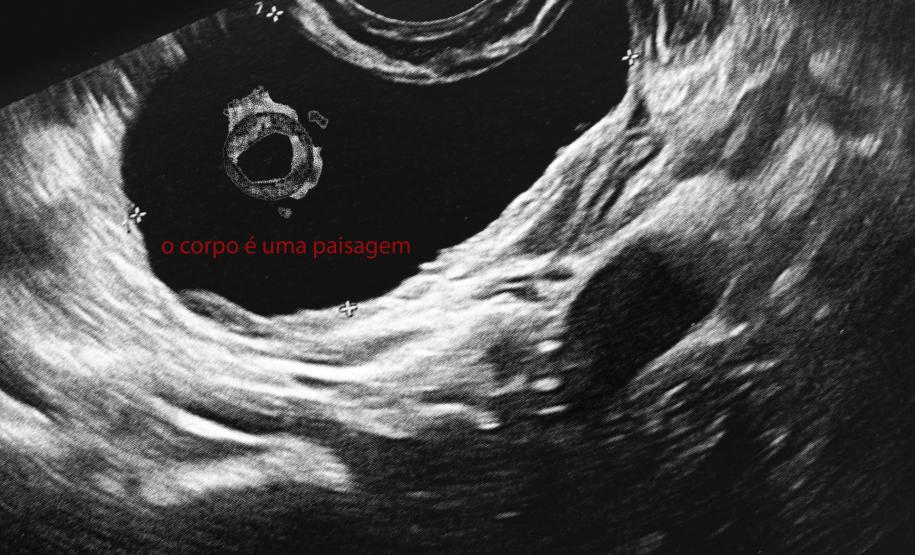 “Ciclo(s)”: MIS-PR promove nova exposição com obras de Lu Berlese e Michelle Serena