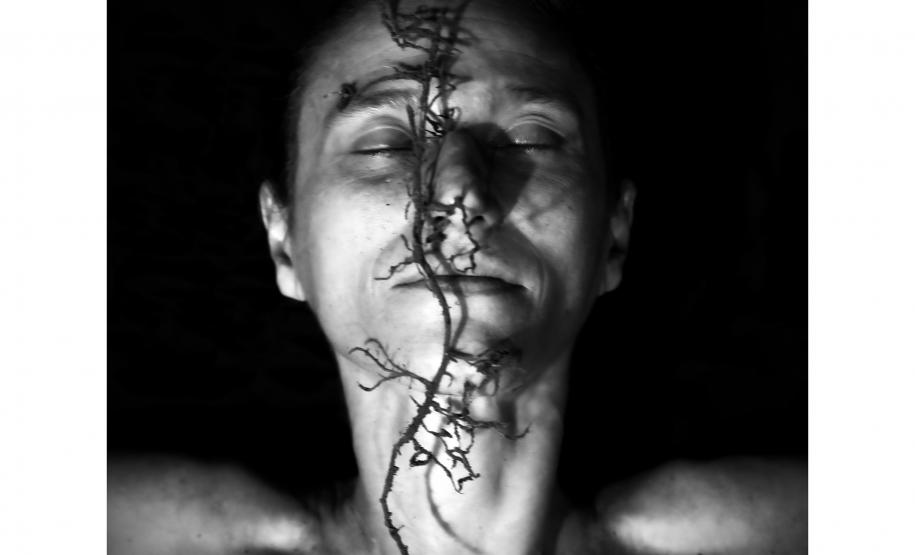 “Ciclo(s)”: MIS-PR promove nova exposição com obras de Lu Berlese e Michelle Serena