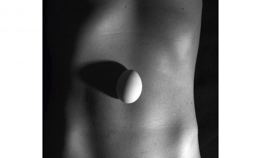 “Ciclo(s)”: MIS-PR promove nova exposição com obras de Lu Berlese e Michelle Serena