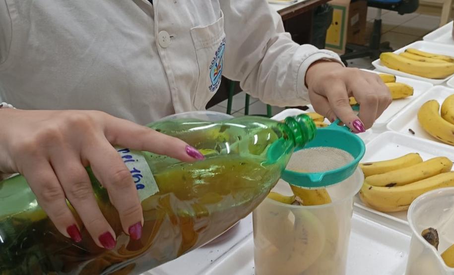 Aluna de escola estadual é premiada na maior feira de ciências do Brasil