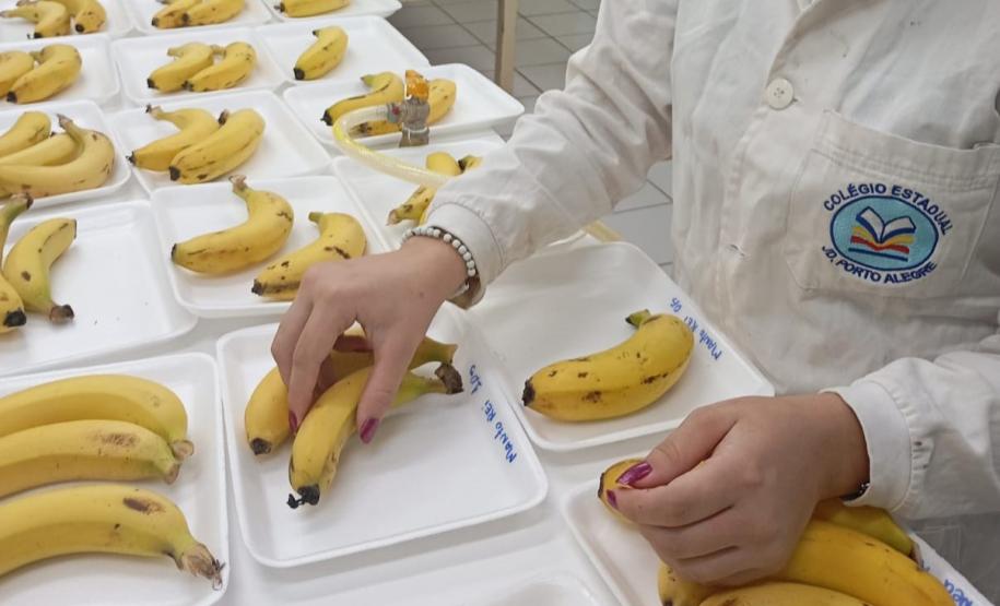 Aluna de escola estadual é premiada na maior feira de ciências do Brasil