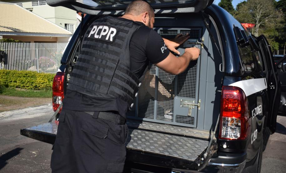 Número de homicídios de mulheres cai 18,7% em dez anos no Paraná