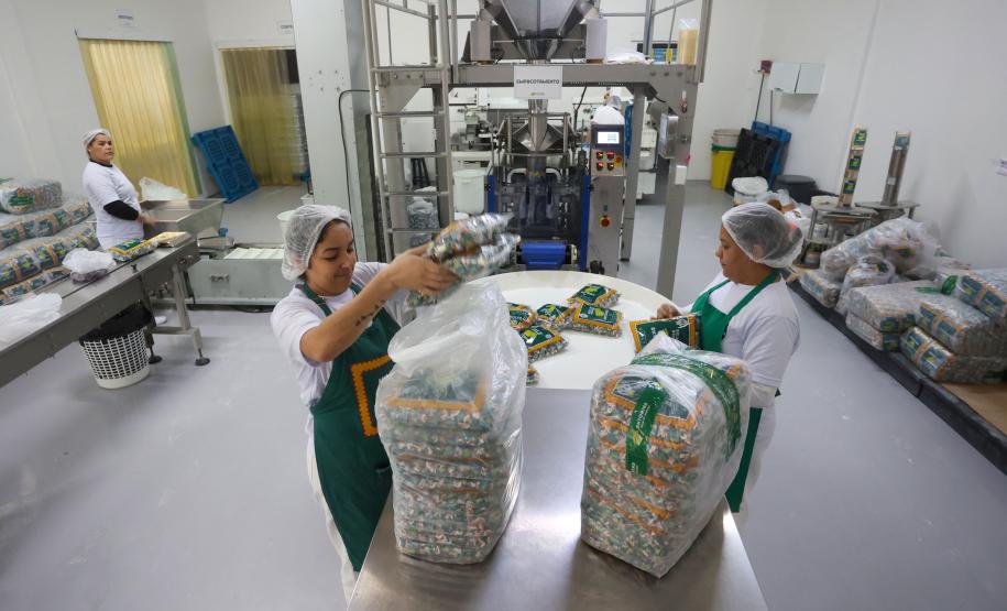 Com 42 mil empregos, Paraná lidera abertura de vagas para mulheres na região Sul