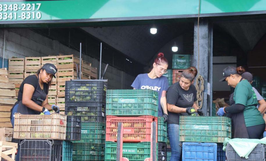Ceasa terá selo da ABNT de boas práticas no combate à violência contra as mulheres