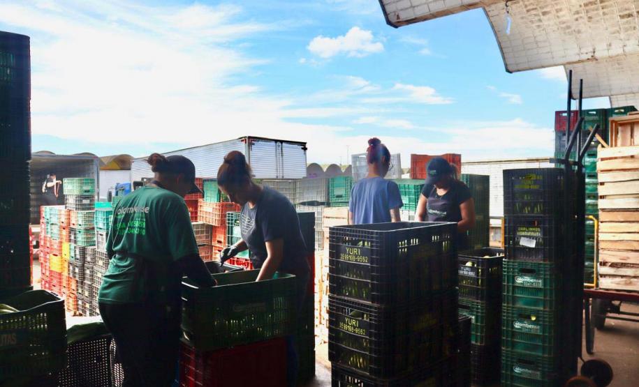 Ceasa terá selo da ABNT de boas práticas no combate à violência contra as mulheres