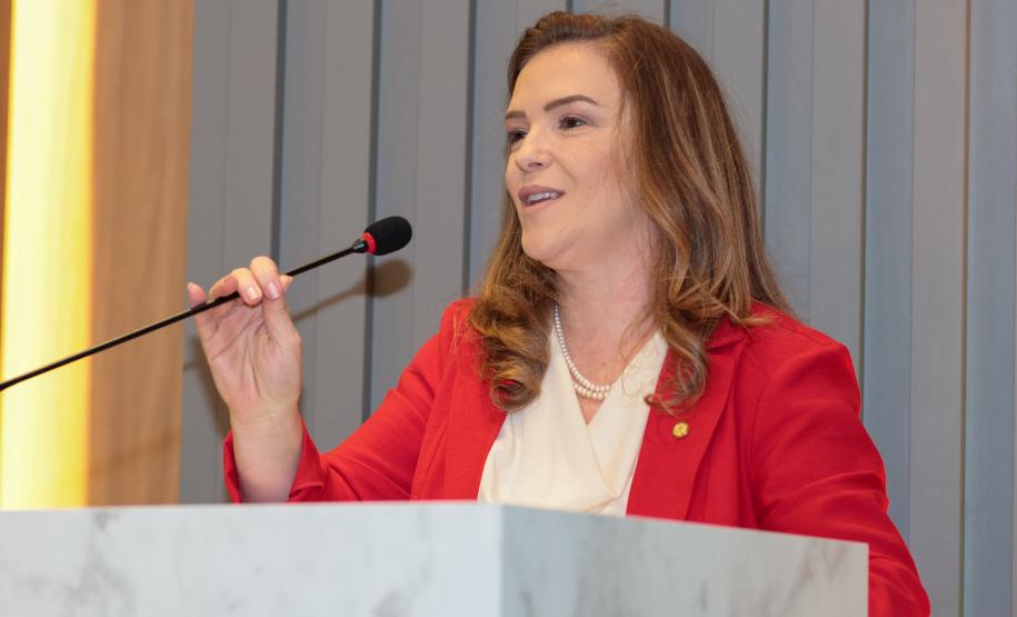 Governo vai orientar municípios para elaboração do Plano dos Direitos da Mulher