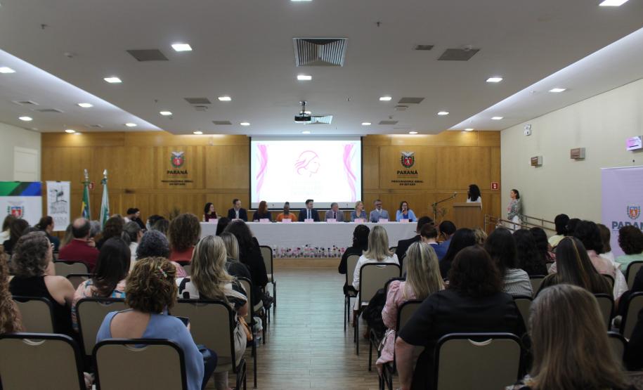 SEMIPI: Nova composição do Conselho Estadual dos Direitos da Mulher assume mandato 2025–2027