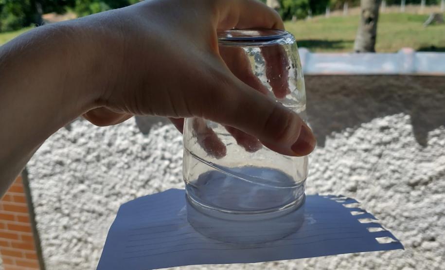 Projetos científicos: professora e aluna do Paraná são destaques nacionais por engajamento