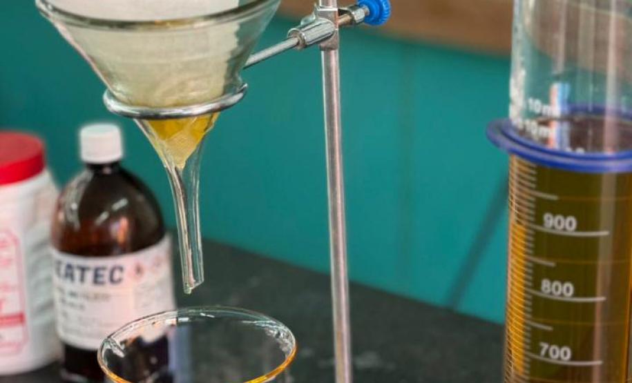 Colégio estadual promove protagonismo feminino na ciência com start up de projetos sustentáveis