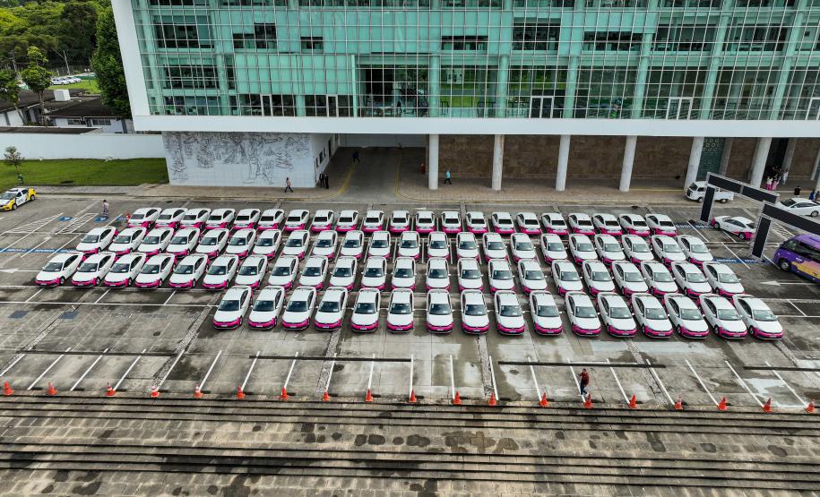 Paraná entrega 40 ônibus e 82 carros para reforçar cuidado às mulheres e pessoas idosas