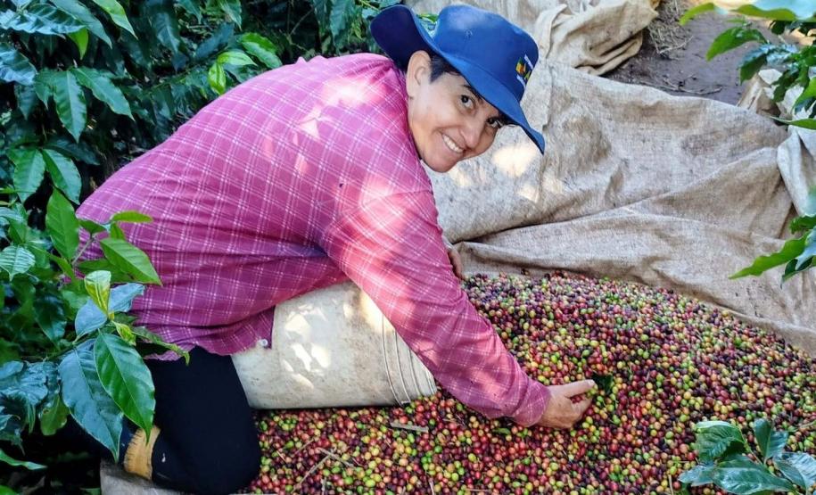 23ª edição do Concurso Café Qualidade Paraná comprova a força da mulher no campo