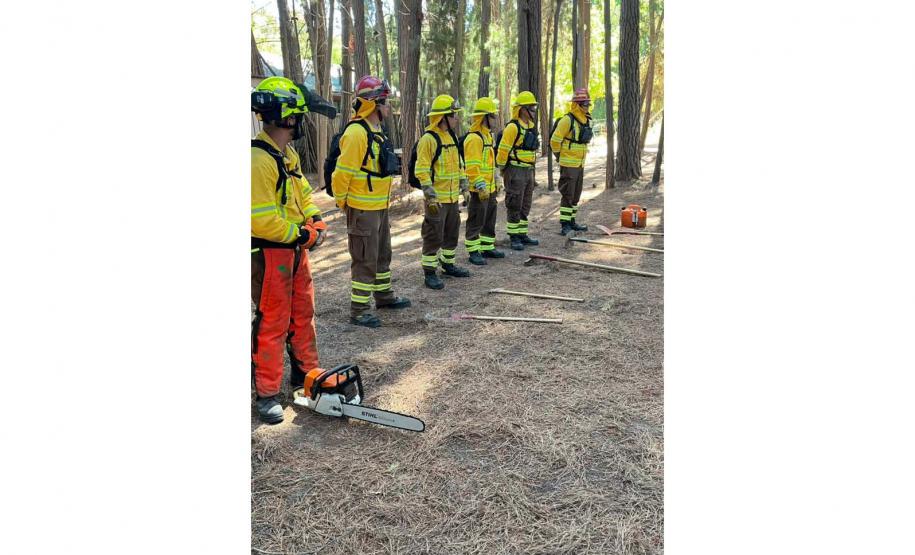 Bombeira conclui curso no Chile e projeta avanços na prevenção de incêndios florestais no Paraná